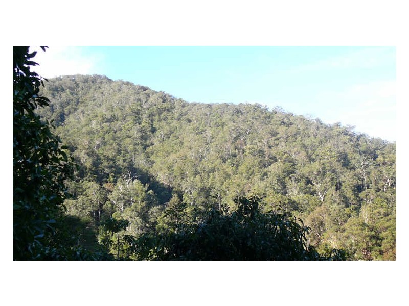 Wherrol Flat NSW 2429