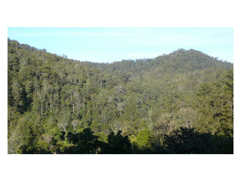 Wherrol Flat NSW 2429