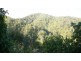 Wherrol Flat NSW 2429