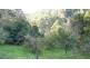 Wherrol Flat NSW 2429