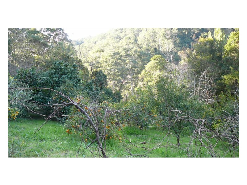 Wherrol Flat NSW 2429