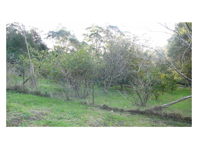 Wherrol Flat NSW 2429