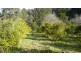 Wherrol Flat NSW 2429