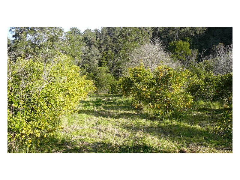 Wherrol Flat NSW 2429