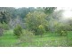 Wherrol Flat NSW 2429