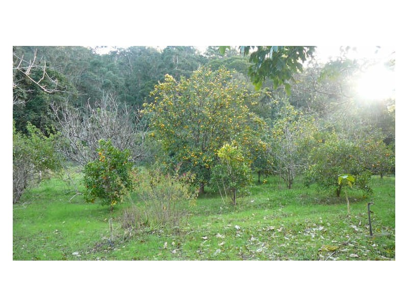 Wherrol Flat NSW 2429