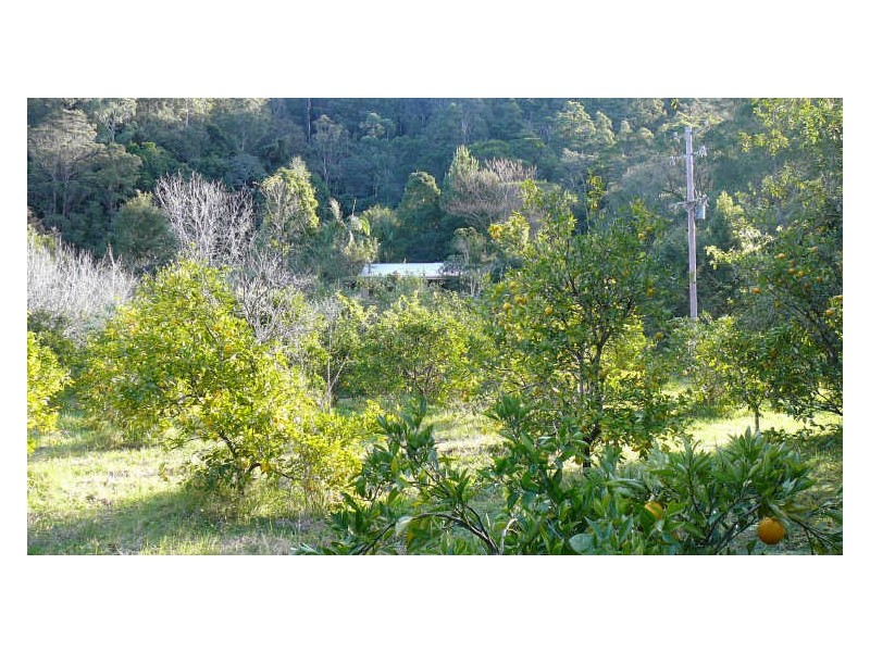 Wherrol Flat NSW 2429