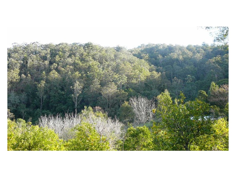 Wherrol Flat NSW 2429