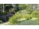 Wherrol Flat NSW 2429