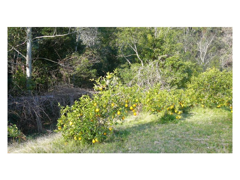 Wherrol Flat NSW 2429