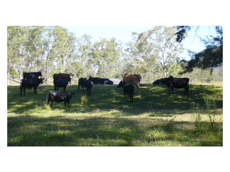 Mount George NSW 2424