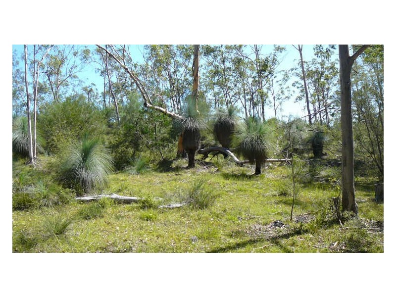 Mount George NSW 2424