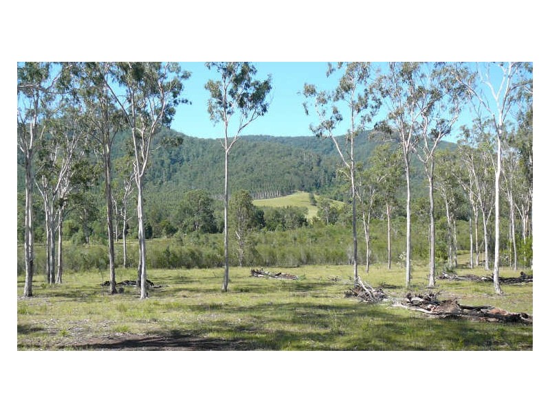 Mount George NSW 2424