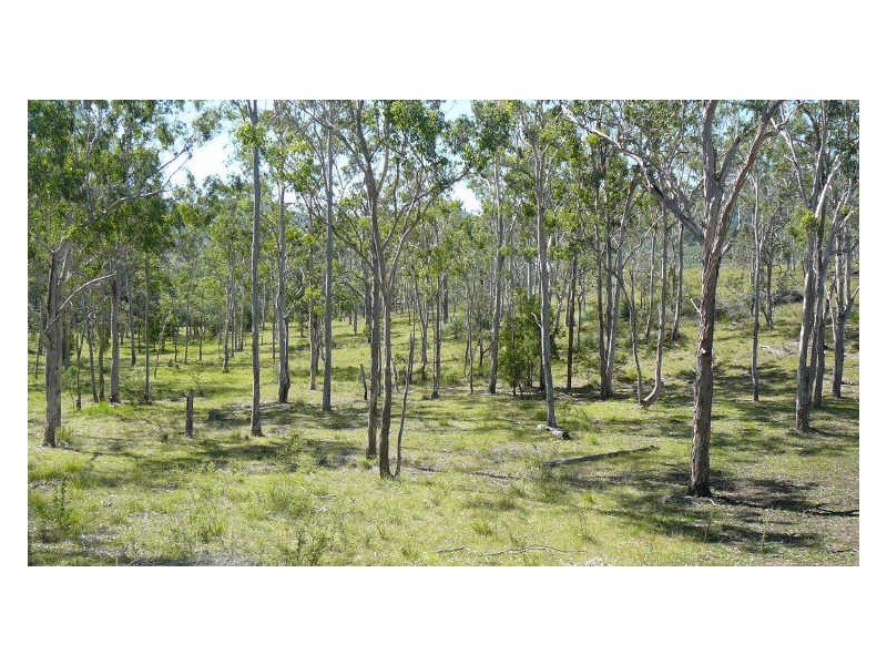 Mount George NSW 2424