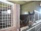 Karaak Flat NSW 2429