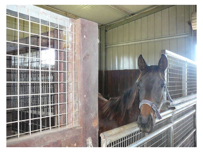 Karaak Flat NSW 2429