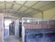 Karaak Flat NSW 2429