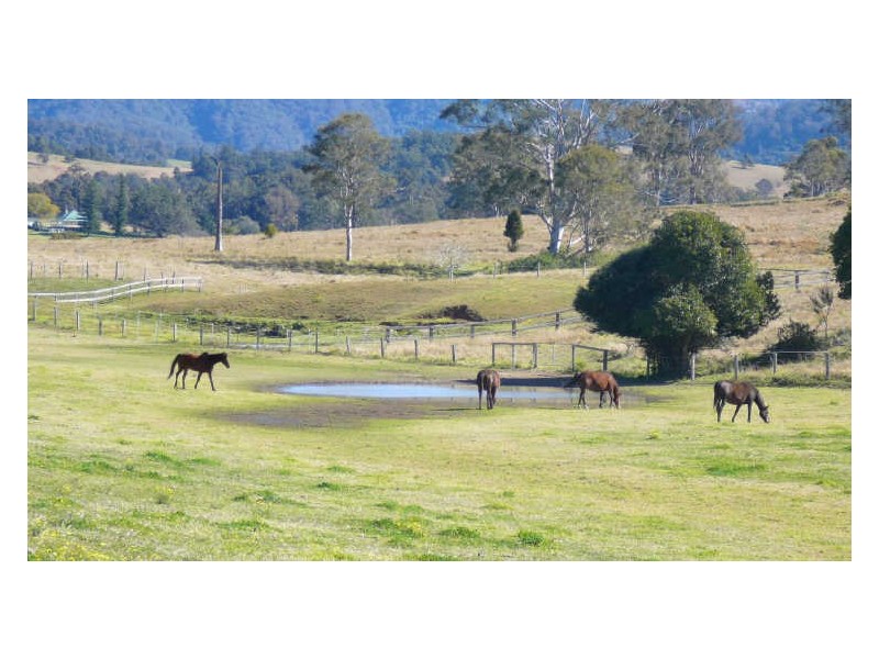 Karaak Flat NSW 2429