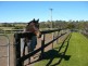 Karaak Flat NSW 2429