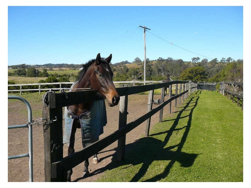 Karaak Flat NSW 2429