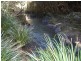 Wherrol Flat NSW 2429