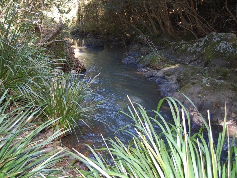 Wherrol Flat NSW 2429
