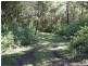 Wherrol Flat NSW 2429