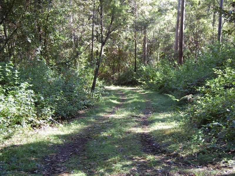 Wherrol Flat NSW 2429