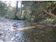 Wherrol Flat NSW 2429