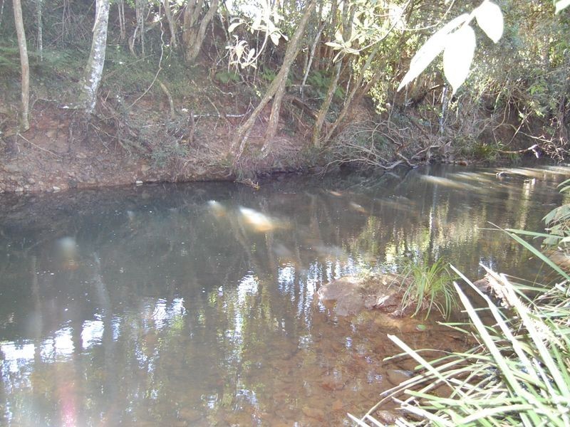 Wherrol Flat NSW 2429