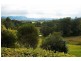 Wingham NSW 2429
