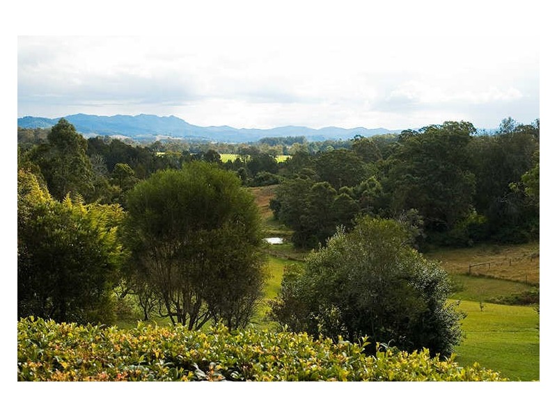 Wingham NSW 2429