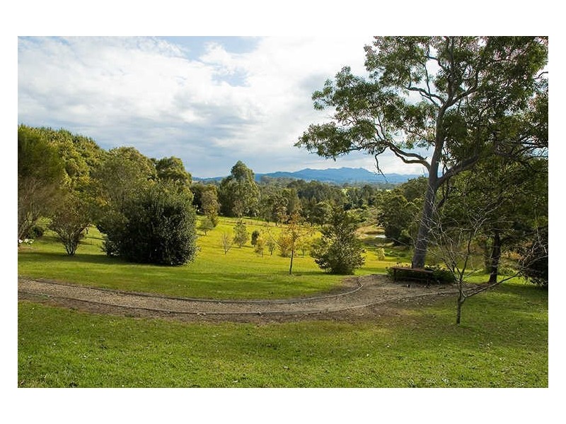 Wingham NSW 2429