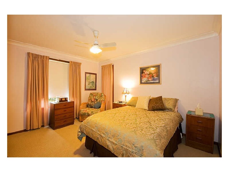 Wingham NSW 2429