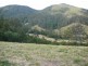 Mooral Creek NSW 2429