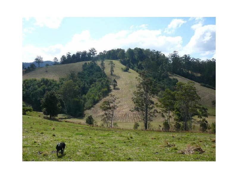 Mooral Creek NSW 2429