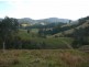 Mooral Creek NSW 2429
