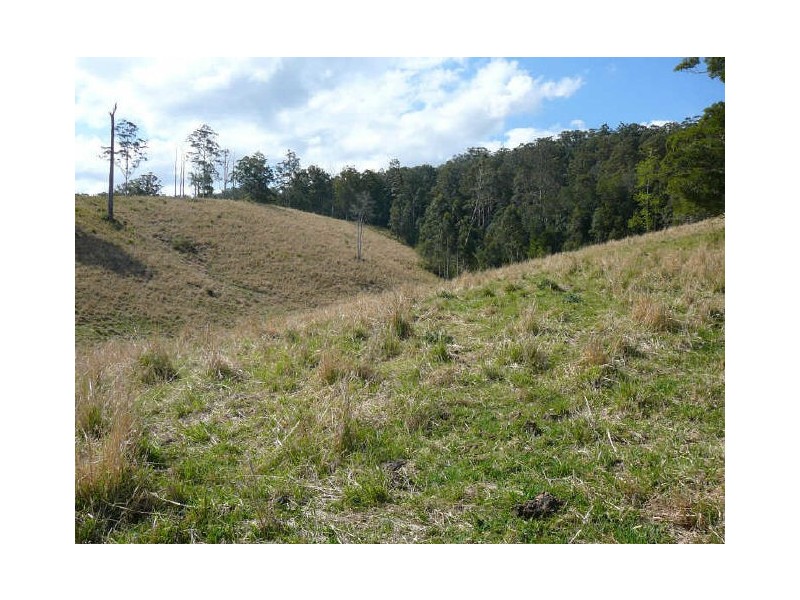 Mooral Creek NSW 2429