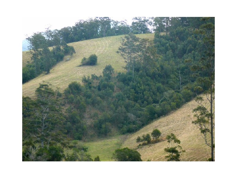 Mooral Creek NSW 2429