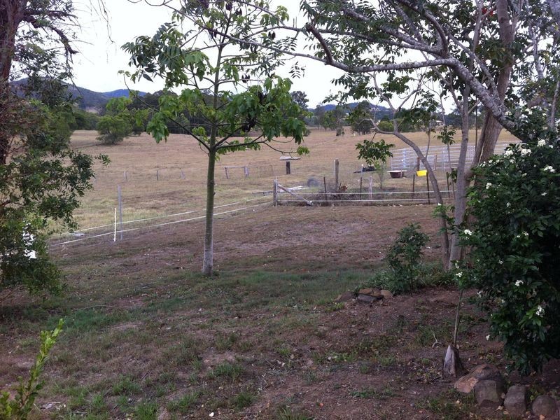 237 Gloucester Road, Burrell Creek NSW 2429