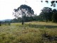 Wingham NSW 2429