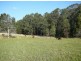Wingham NSW 2429