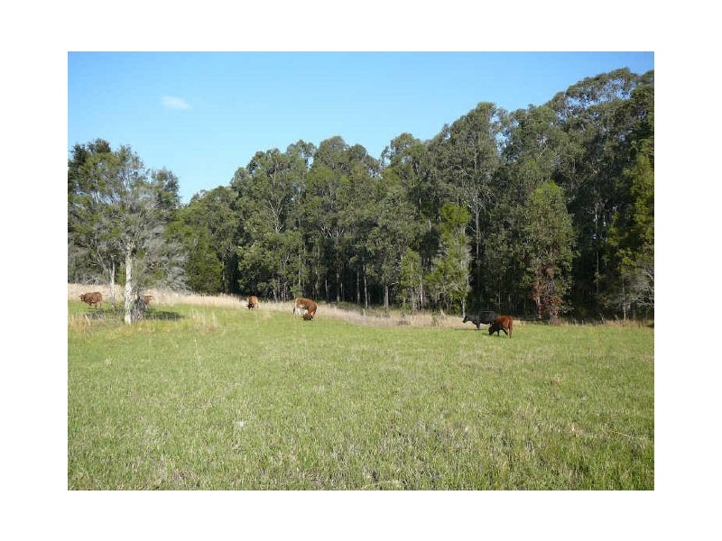 Wingham NSW 2429