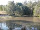 Wingham NSW 2429