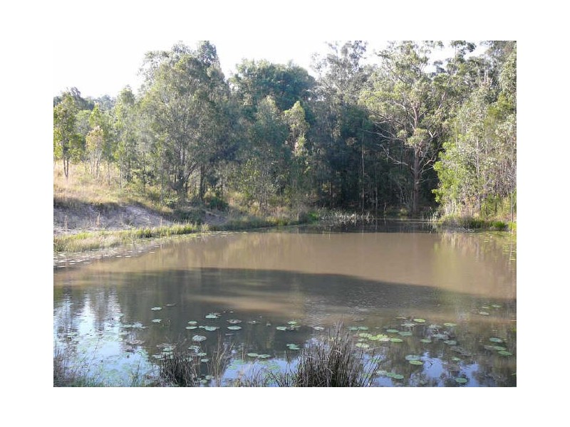 Wingham NSW 2429