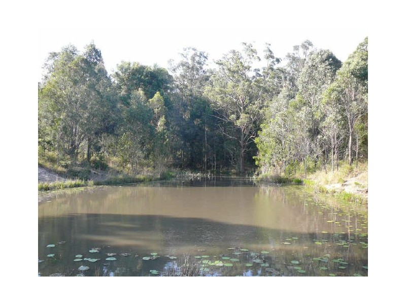 Wingham NSW 2429