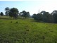 Wingham NSW 2429