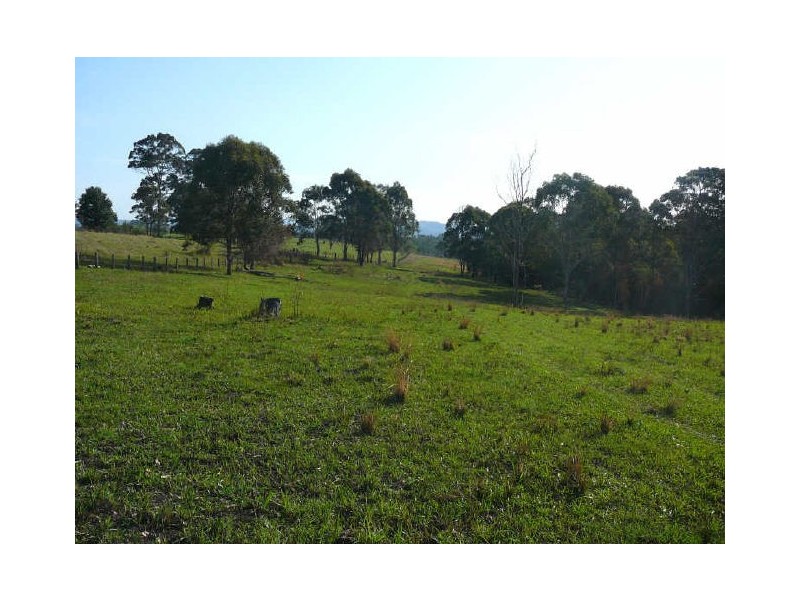 Wingham NSW 2429