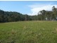Wingham NSW 2429