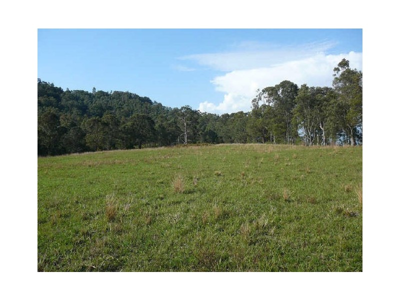 Wingham NSW 2429